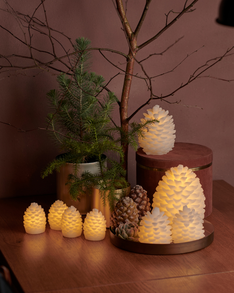 Clara Kogle 10 cm, 2-pak