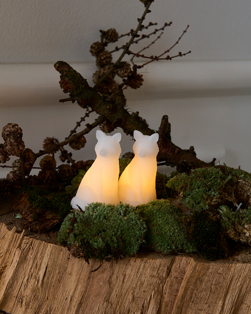 Edda Ræv, 2 stk. sæt