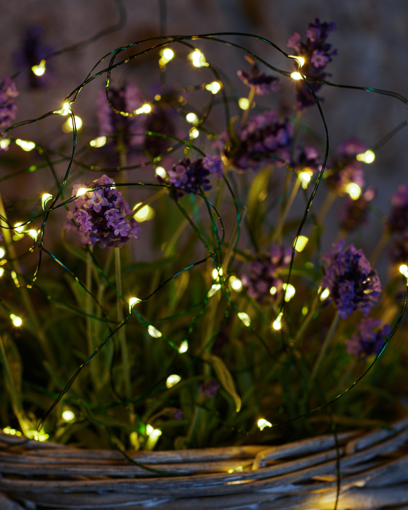 Knirke 80 LED, Grøn