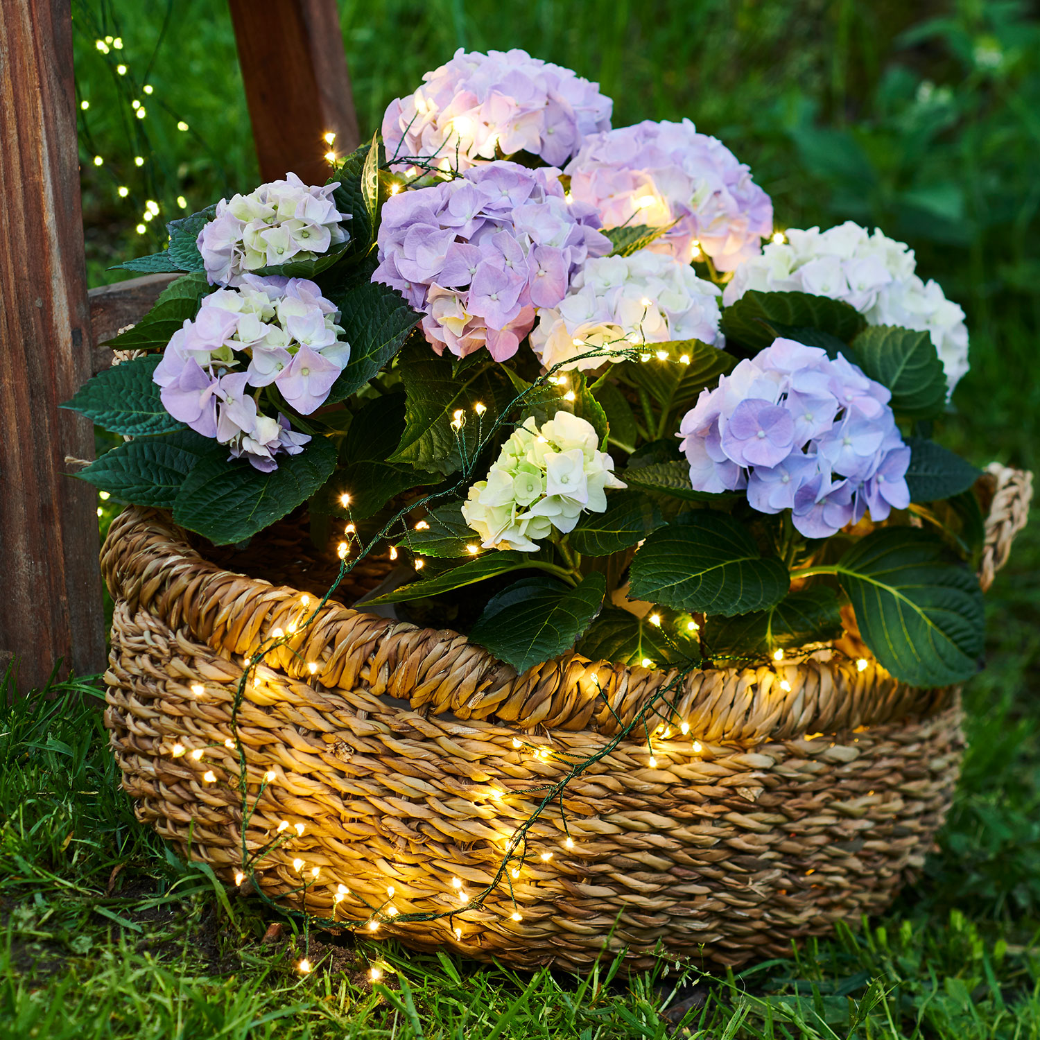 Knirke Cluster 160 LED, 2 m, Grøn