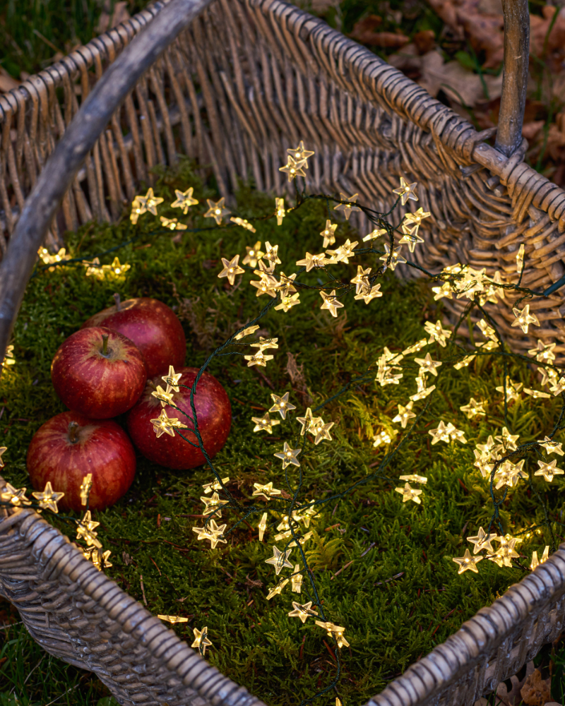 Trille Stjerne Cluster 160 LED, 2 m, Grøn