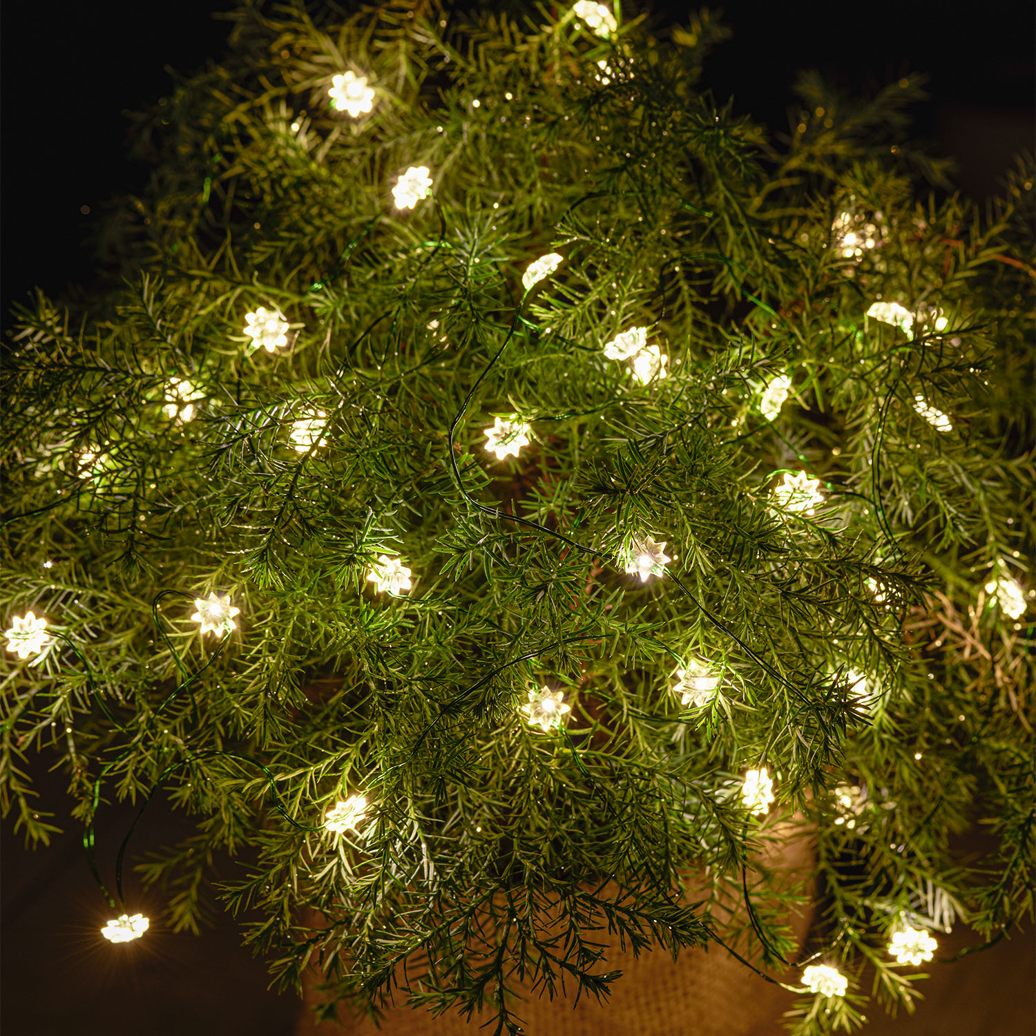 Silke Miniflower 40 LED, 3,9 m, Grøn