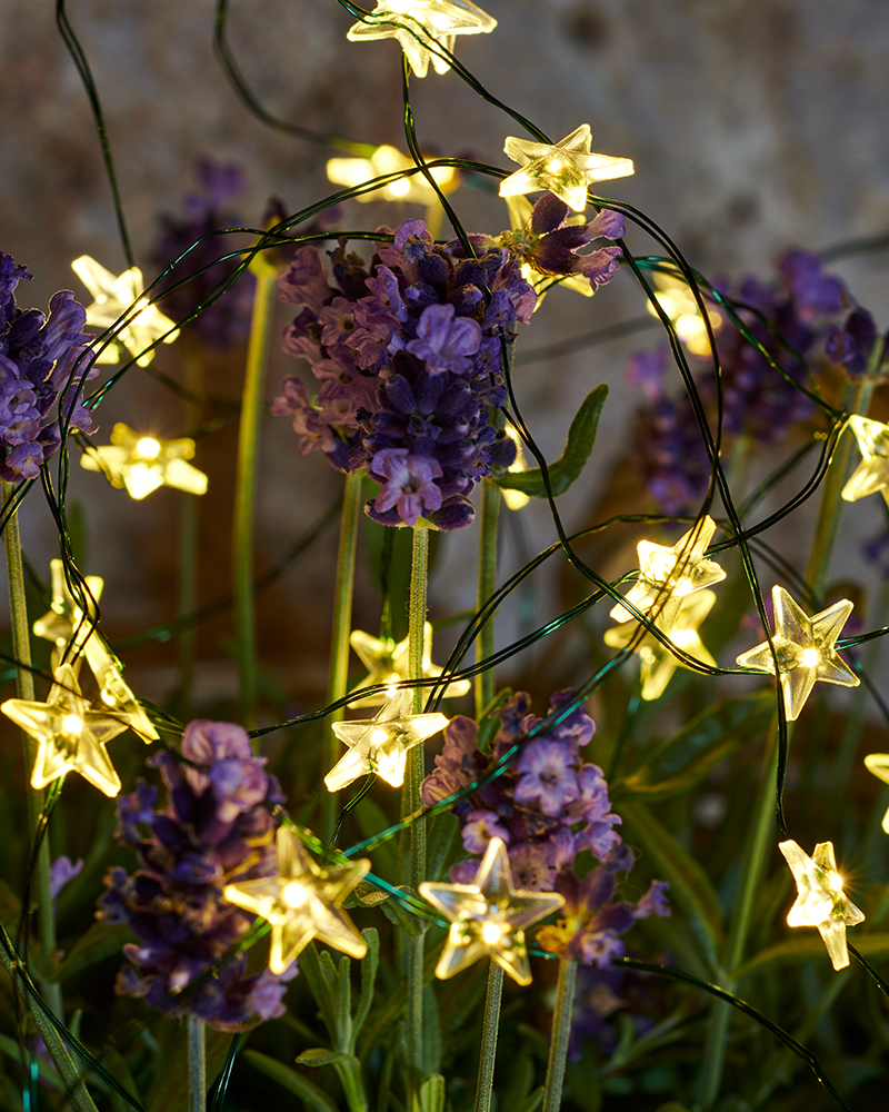 Trille Stjerne 40 LED, 3,9 m, Grøn