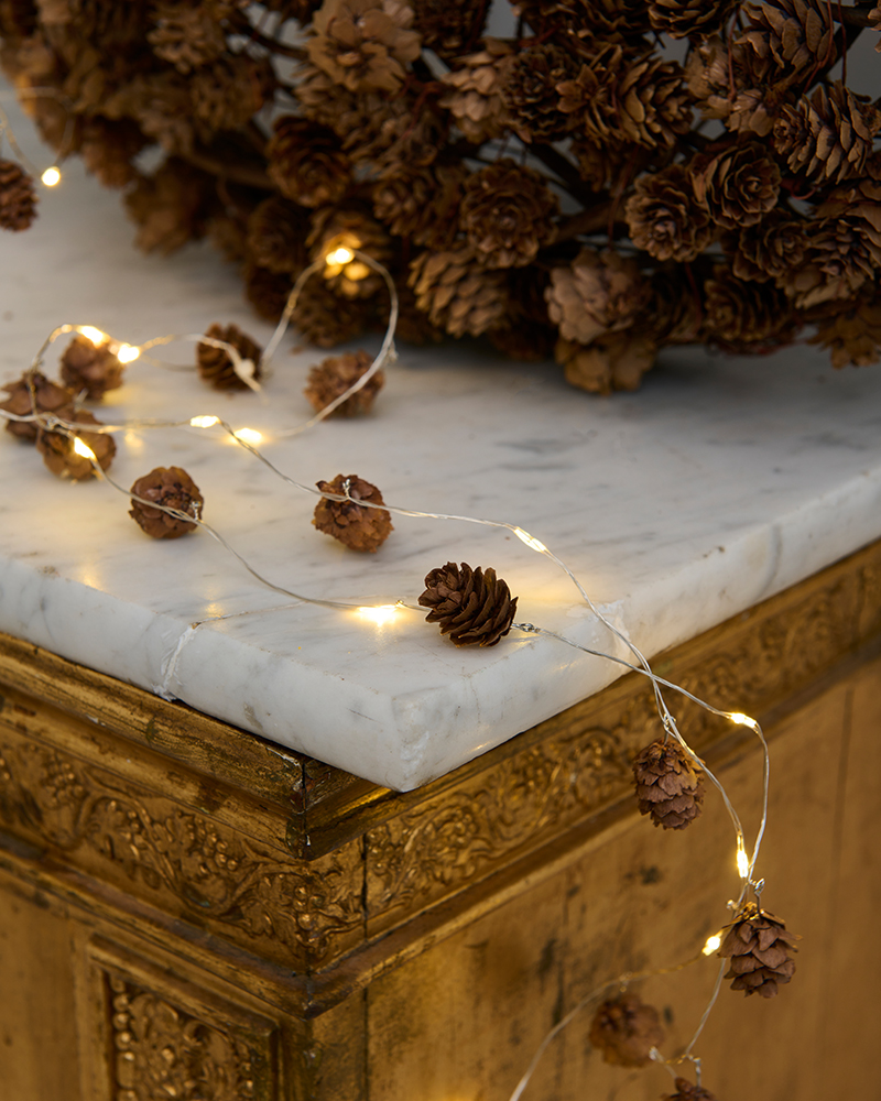 Molly Kogle Guirlande, Brun