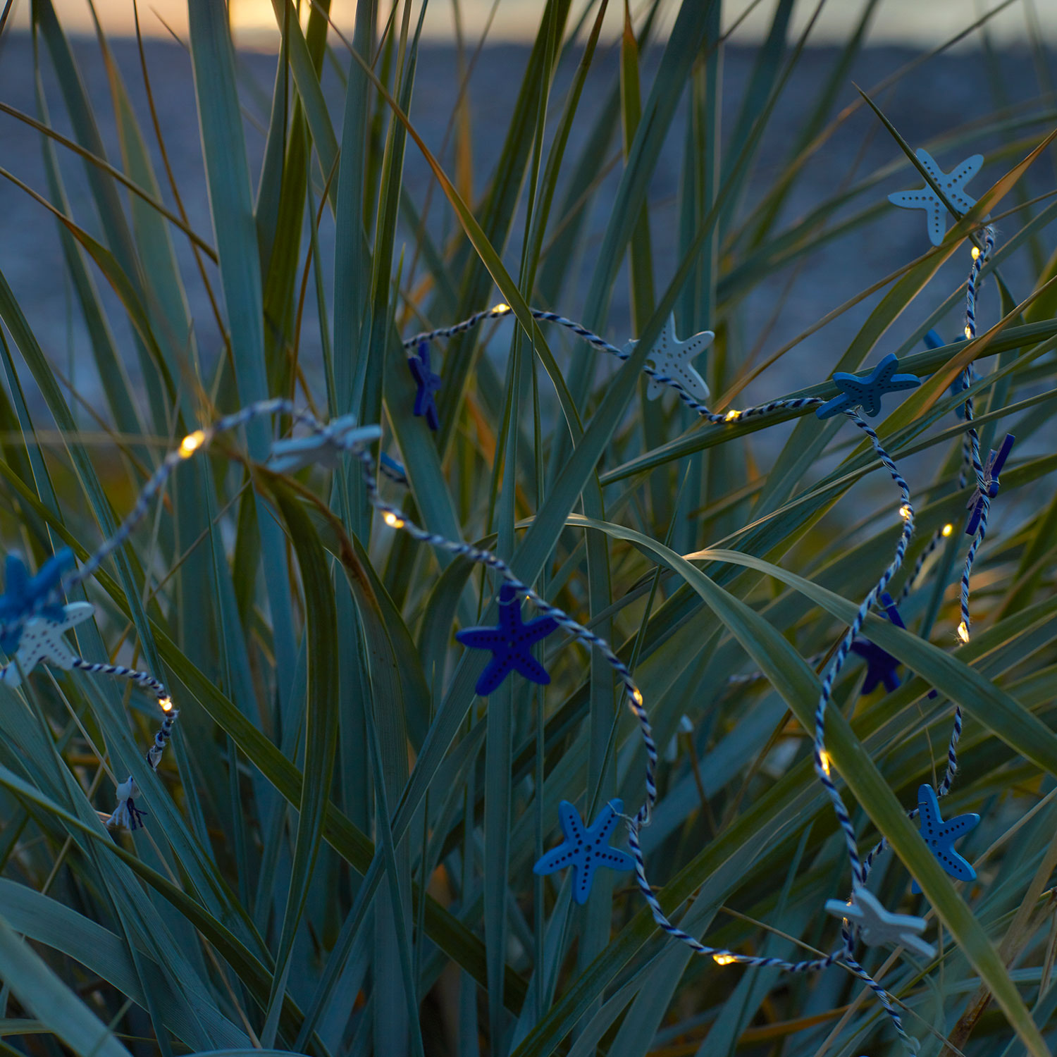 Selma Søstjerne, 20 LED, Blå