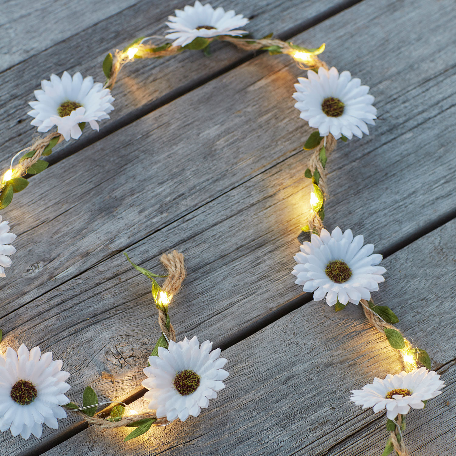 Flora Sommerblomster, 2 m, Hvid