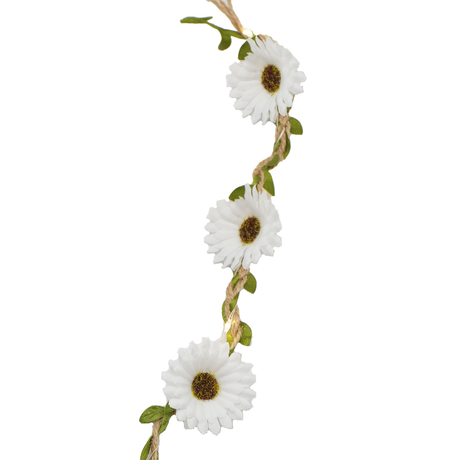 Flora Sommerblomster, 2 m, Hvid