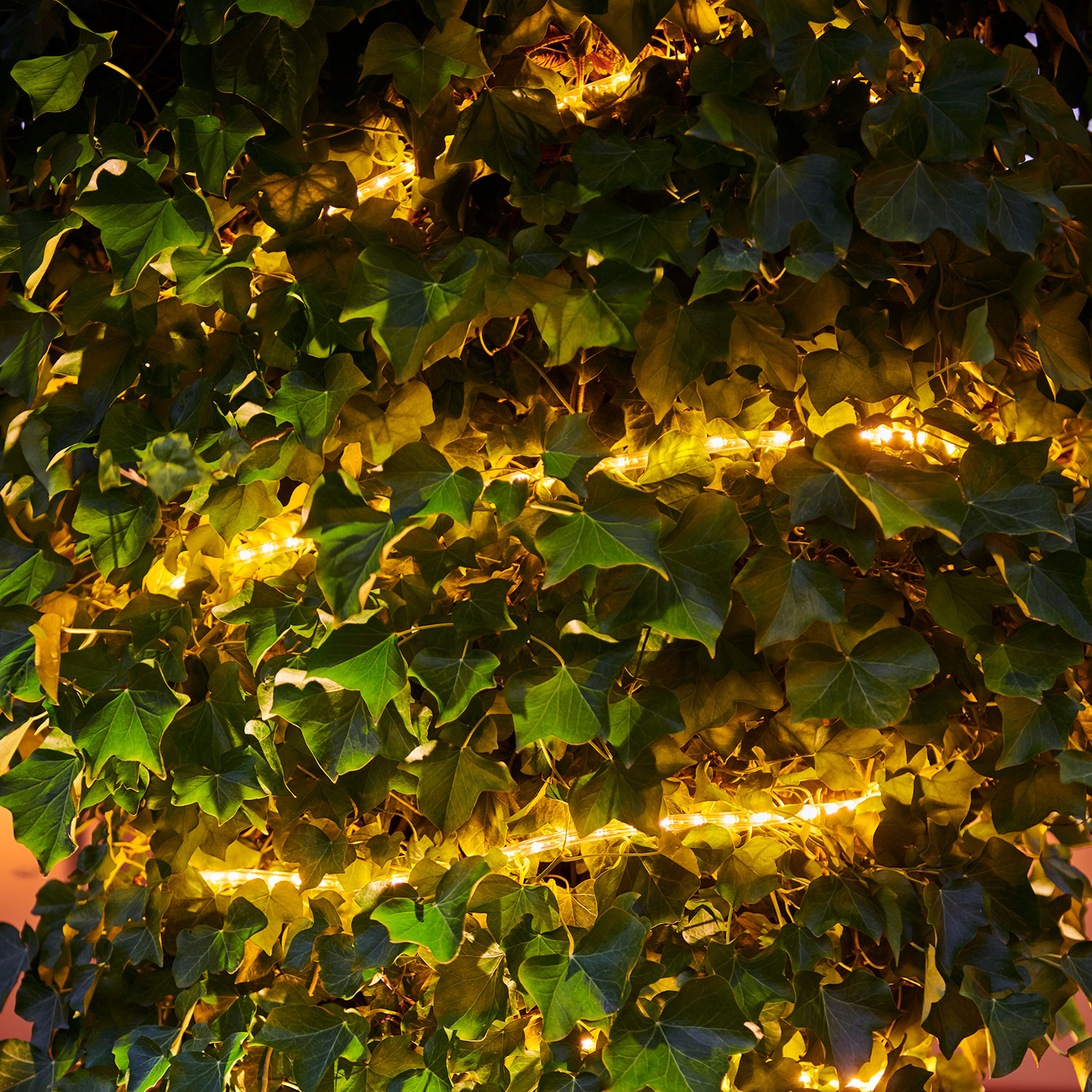 Tech-Line Reblys Supplementsæt 144 LED, 4 m