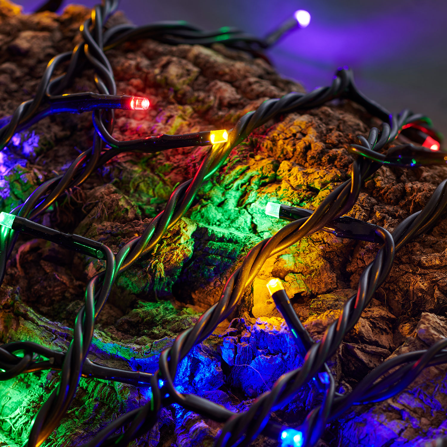 Top-Line Startsæt Multi 50 LED, 5 m