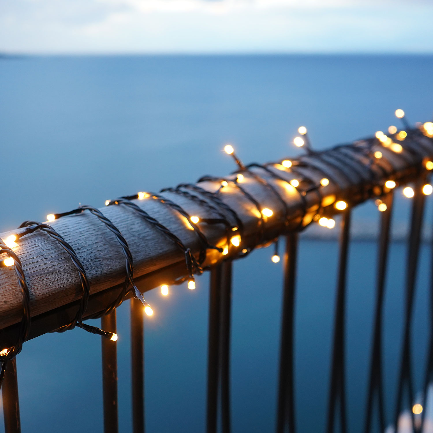 Top-Line Energy Supplement 100 LED, 10 m, Colour Change