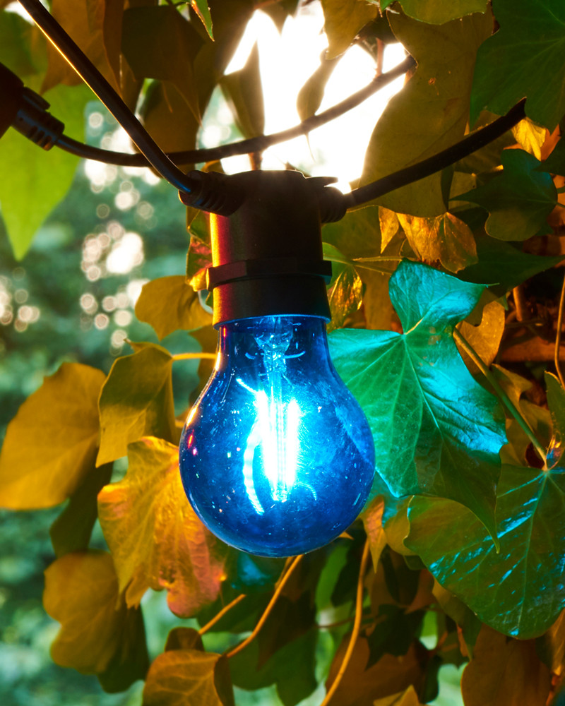 Tobias Reservepære, Blå