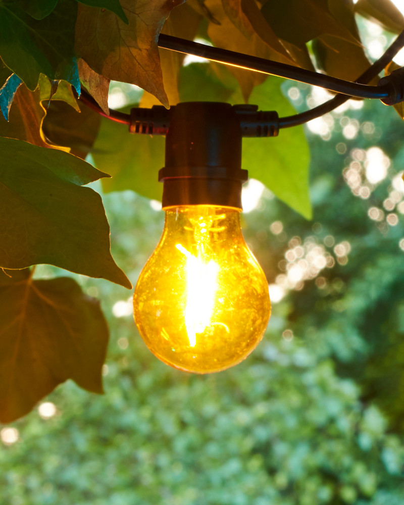 Tobias Reservepære, Gul