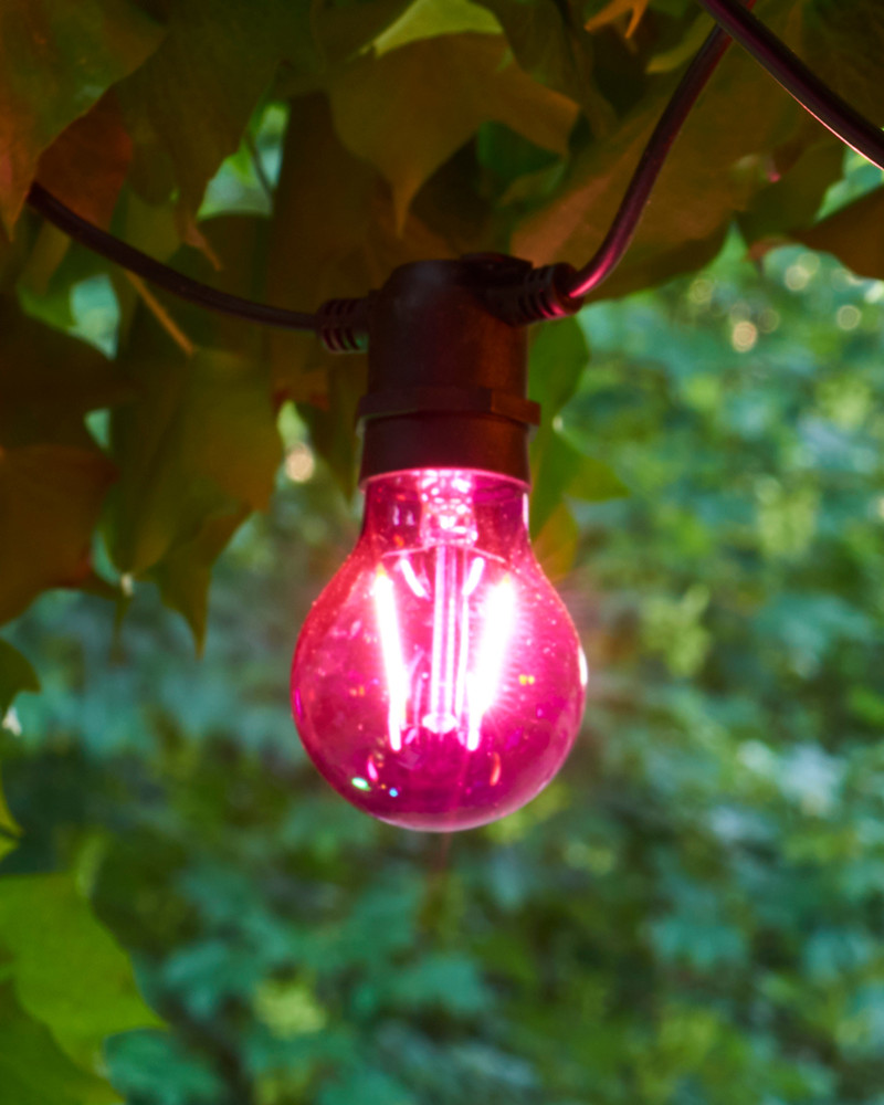 Tobias Reservepære, Lilla