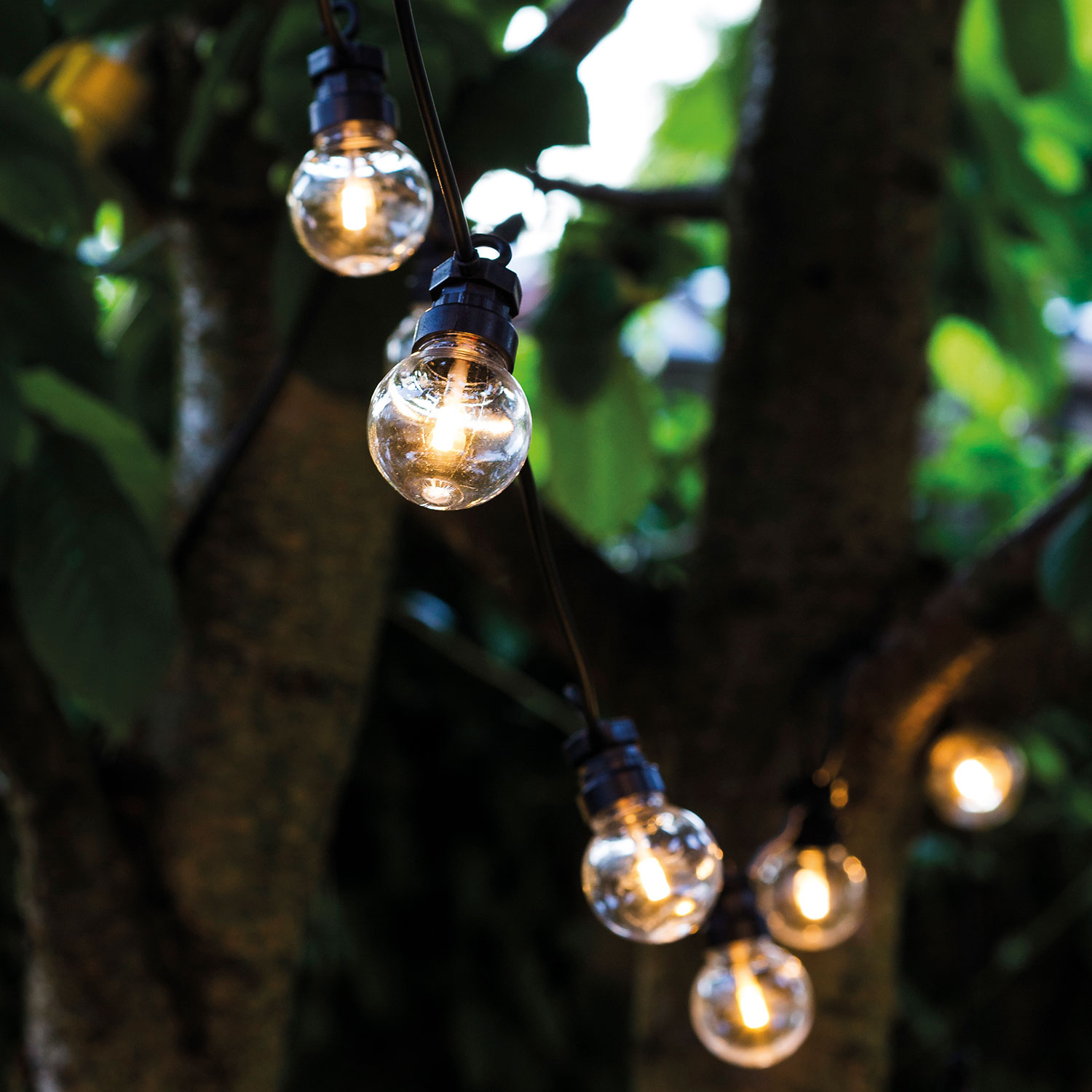 Lucas Startsæt 10 LED, klar Lucas Startsæt 10 LED, klar