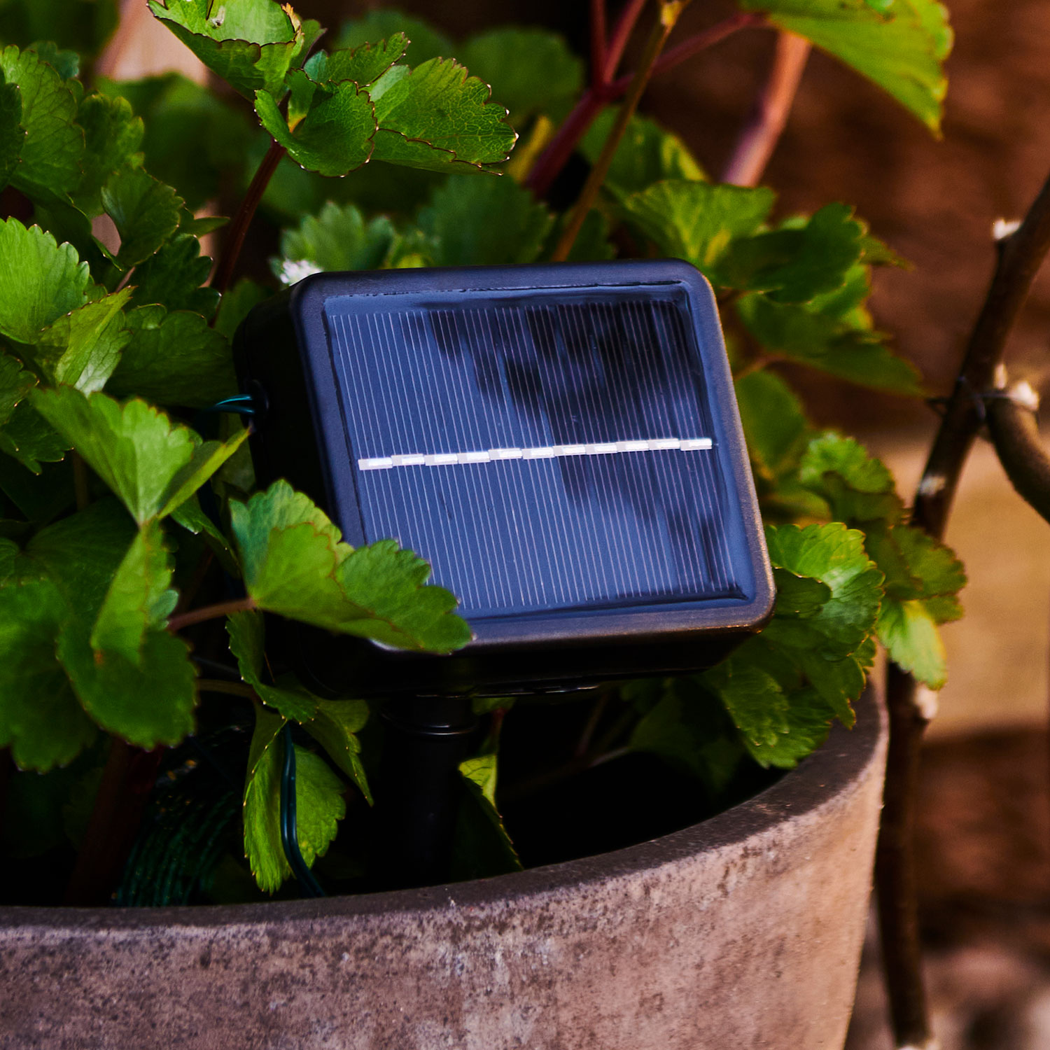 Lucas Solar solcellepanel, sort